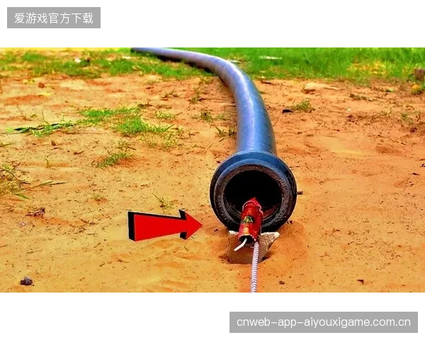 羽毛球“网口扑杀”成当晚最惊艳瞬间，瞬间点燃现场激情